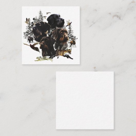 Deutsches Drahthaar Pointer Quadratische Visitenkarte (Vorne/Hinten)