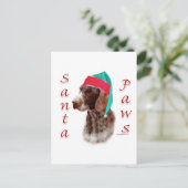 Deutsches Drahthaar Pointer Santa Paws Feiertagspostkarte (Stehend Vorderseite)