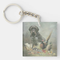 Deutsches Drahthaar Pointer
