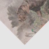 Deutsches Drahthaar Pointer Seidenpapier (Detail)