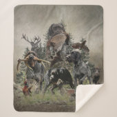 Deutsches Drahthaar Pointer Sherpadecke (Vorderseite)