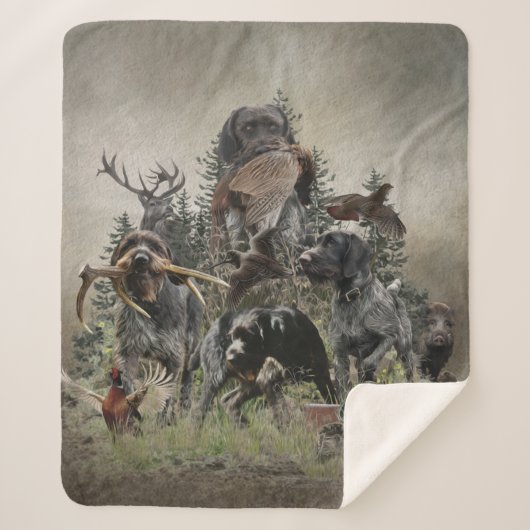 Deutsches Drahthaar Pointer Sherpadecke (Vorderseite)
