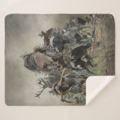 Deutsches Drahthaar Pointer Sherpadecke (Vorderseite (Horizontal))