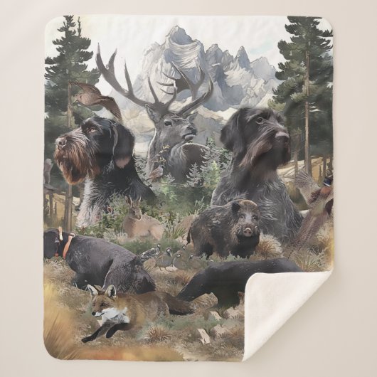 Deutsches Drahthaar Pointer Sherpadecke (Vorderseite)