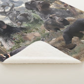 Deutsches Drahthaar Pointer Sherpadecke (3/4)