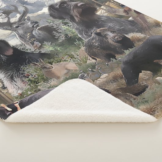 Deutsches Drahthaar Pointer Sherpadecke (3/4)