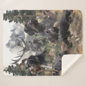 Deutsches Drahthaar Pointer Sherpadecke (Vorderseite (Horizontal))