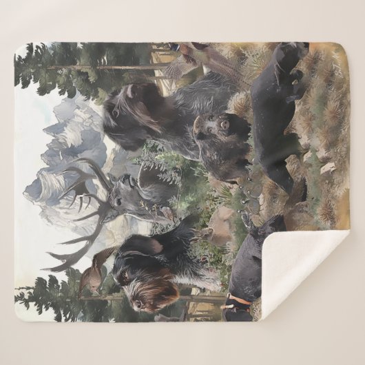 Deutsches Drahthaar Pointer Sherpadecke (Vorderseite (Horizontal))