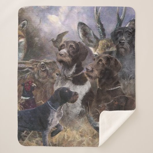 Deutsches Drahthaar Pointer Sherpadecke (Vorderseite)