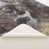 Deutsches Drahthaar Pointer Sherpadecke (3/4)