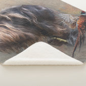 Deutsches Drahthaar Pointer Sherpadecke (3/4)