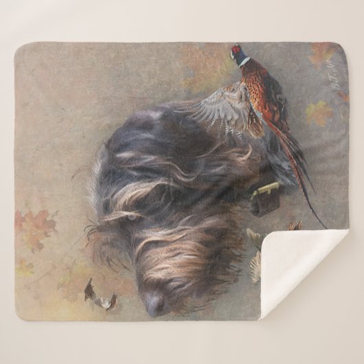 Deutsches Drahthaar Pointer Sherpadecke (Vorderseite (Horizontal))