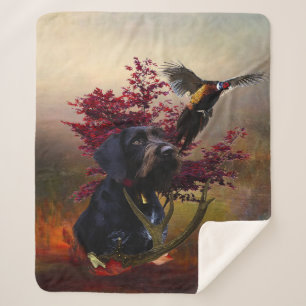 Deutsches Drahthaar Pointer Sherpadecke