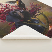 Deutsches Drahthaar Pointer Sherpadecke (3/4)