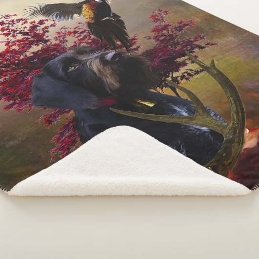 Deutsches Drahthaar Pointer Sherpadecke (3/4)