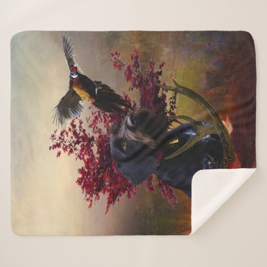 Deutsches Drahthaar Pointer Sherpadecke (Vorderseite (Horizontal))