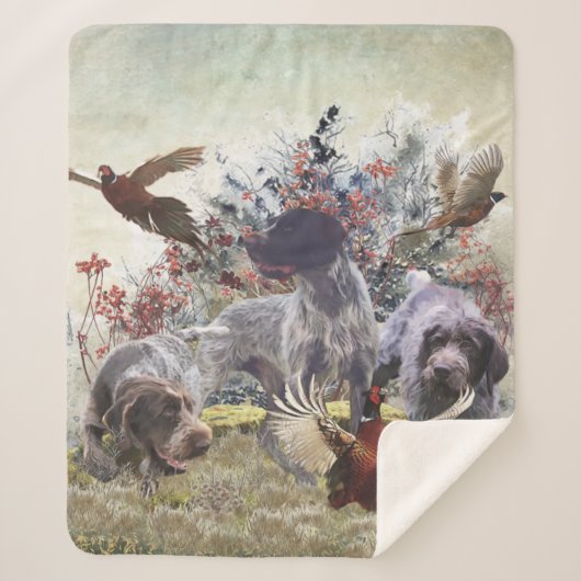 Deutsches Drahthaar Pointer Sherpadecke (Vorderseite)