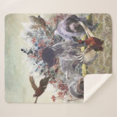 Deutsches Drahthaar Pointer Sherpadecke (Vorderseite (Horizontal))