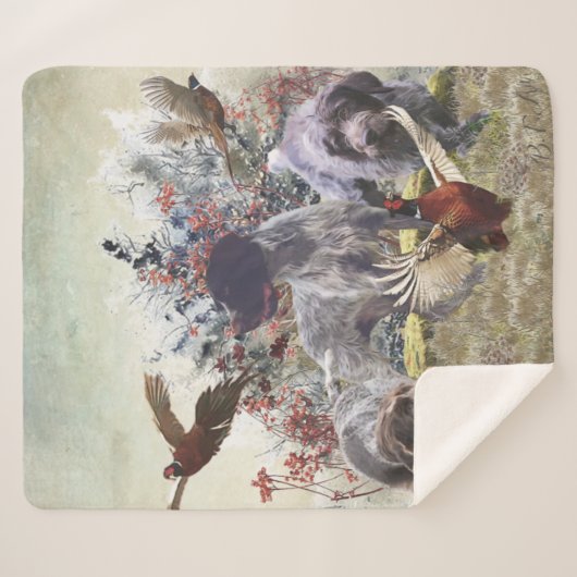 Deutsches Drahthaar Pointer Sherpadecke (Vorderseite (Horizontal))