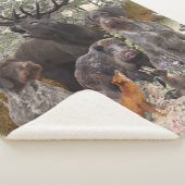 Deutsches Drahthaar Pointer Sherpadecke (3/4)