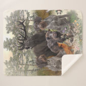 Deutsches Drahthaar Pointer Sherpadecke (Vorderseite (Horizontal))