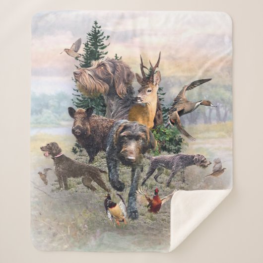 Deutsches Drahthaar Pointer Sherpadecke (Vorderseite)