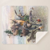 Deutsches Drahthaar Pointer Sherpadecke (Vorderseite (Horizontal))