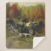 Deutsches Drahthaar Pointer Sherpadecke (Vorderseite)