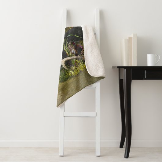 Deutsches Drahthaar Pointer Sherpadecke (Beispiel)