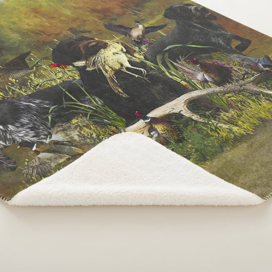 Deutsches Drahthaar Pointer Sherpadecke (3/4)