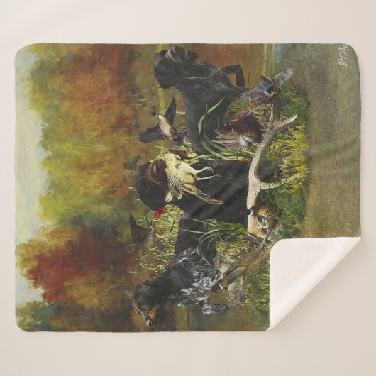 Deutsches Drahthaar Pointer Sherpadecke (Vorderseite (Horizontal))