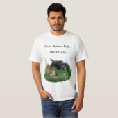 Deutsches Drahthaar Pointer T - Shirt (Vorne ganz)