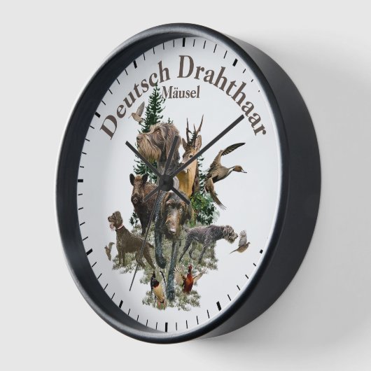 Deutsches Drahthaar Pointer Uhr (Winkel)