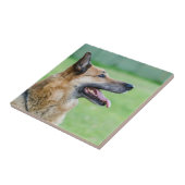 Deutsches Hirtenbild Fliese (Seite)