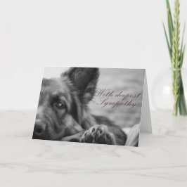 Deutsches Hirtenkarte mit Beileid. Karte