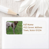 Deutsches Kurzbriefmarke (Insitu)