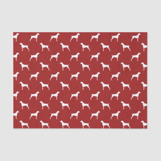 Deutsches kurzhaariger seidenpapier (Vorderseite)