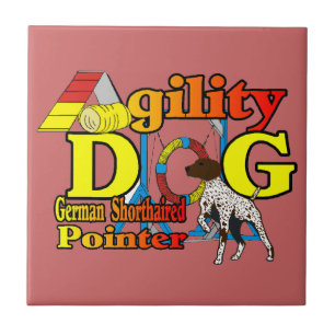 Deutsches Kurzpointer-Agility Fliese