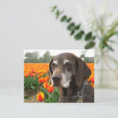 Deutsches Kurzzeigerfeld Postkarte (Stehend Vorderseite)