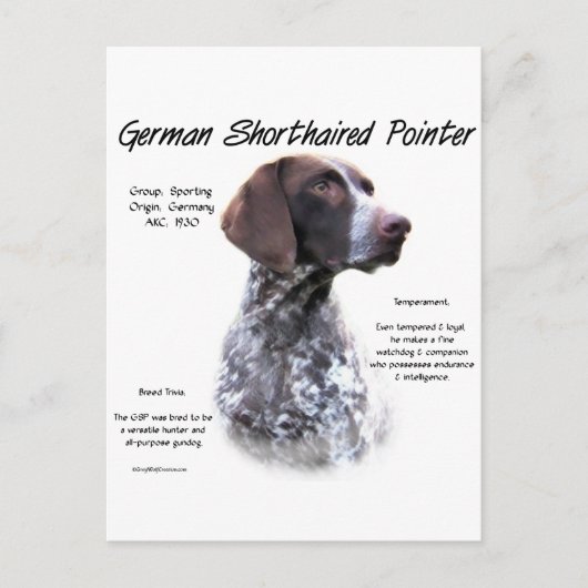 Deutsches Kurzzeitbild Postkarte (Vorderseite)