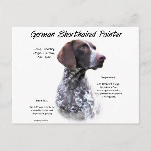 Deutsches Kurzzeitbild Postkarte (Vorderseite)