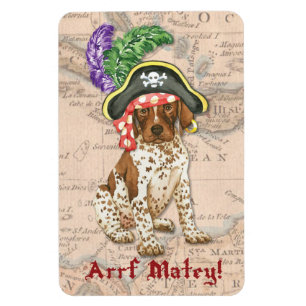 Deutsches Kurzzeitpferd Magnet