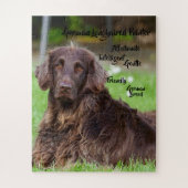 Deutsches Puzzle mit langhaarigen Pointer Jigsaw (Vertikal)