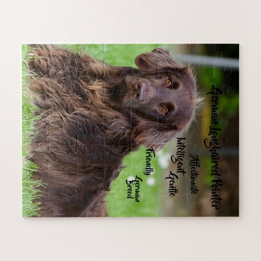 Deutsches Puzzle mit langhaarigen Pointer Jigsaw (Horizontal)