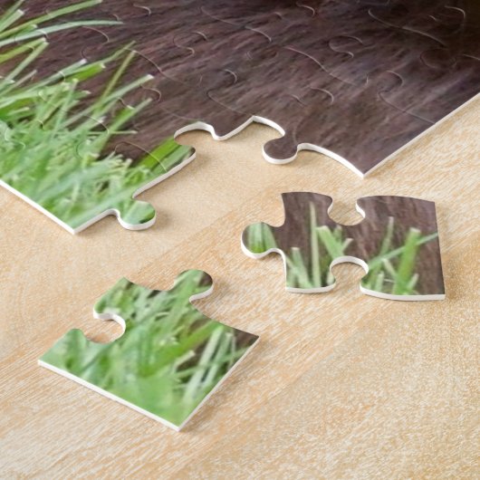 Deutsches Puzzle mit langhaarigen Pointer Jigsaw (Seite)