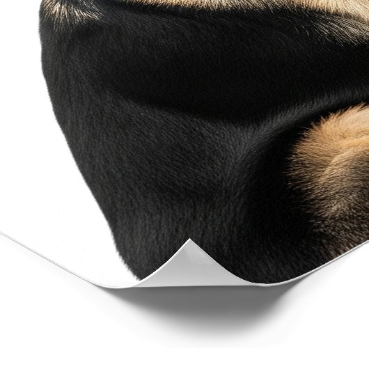 Deutsches Schäferprofil Poster (Ecke)