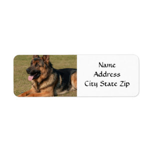 *DEUTSCHES SHEPHERD* RÜCKKEHR-ADRESSETIKETT