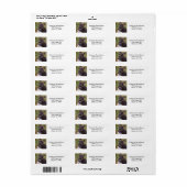 Deutsches Shepherd Welppy Address Labels (Vorne)