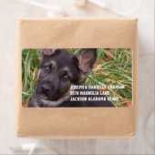 Deutsches Shepherd Welppy Address Labels (Insitu)