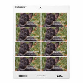 Deutsches Shepherd Welppy Address Labels (Vorne)